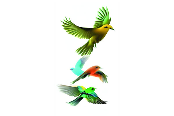 টুনটুনি পাখি