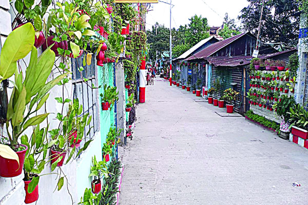 মুগ্ধতা ছড়ানো সবুজ কলোনি