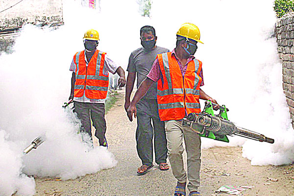 বাড়ছে বাজেট বাড়ছে মশা