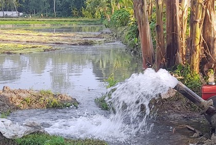 পানি সংকটে কৃষকরা, শ্যালো মেশিনের পানিতে পাট জাগ