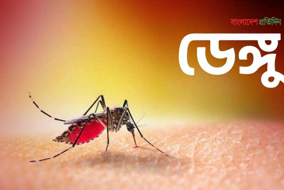 ভোলার চরফ্যাশনে ডেঙ্গুতে নারীর মৃত্যু 