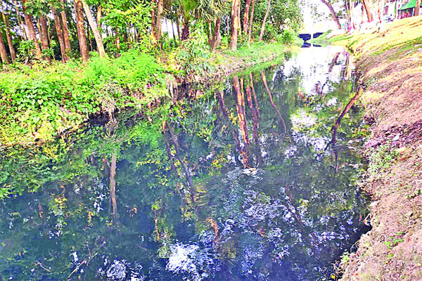 ত্রিপুরার বিষাক্ত কালো পানি ঢুকছে আখাউড়ার খালে