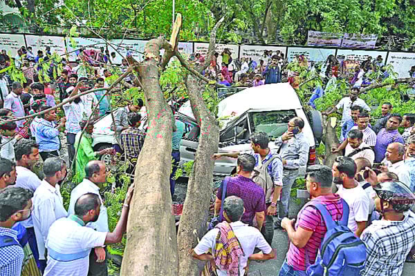 কেন্দ্রীয় শহীদ মিনারের সামনে গাছ উপড়ে আহত ৩