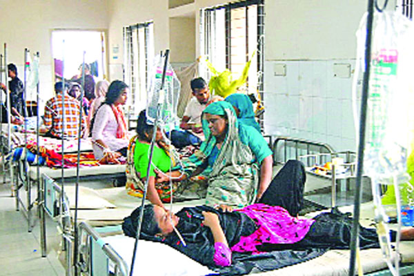 প্রতিদিনই বাড়ছে ডেঙ্গু রোগী