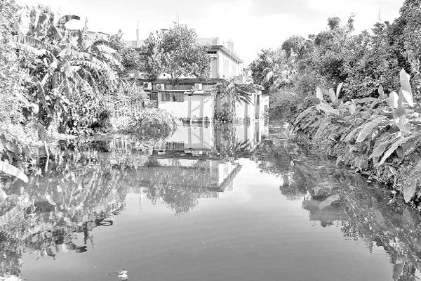 নদীতে বাঁধ দিয়ে মাছ চাষ