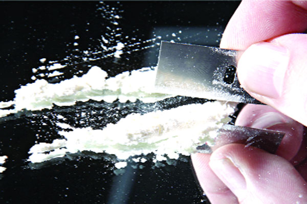 সুন্দরী মডেলের কোকেন বাণিজ্য