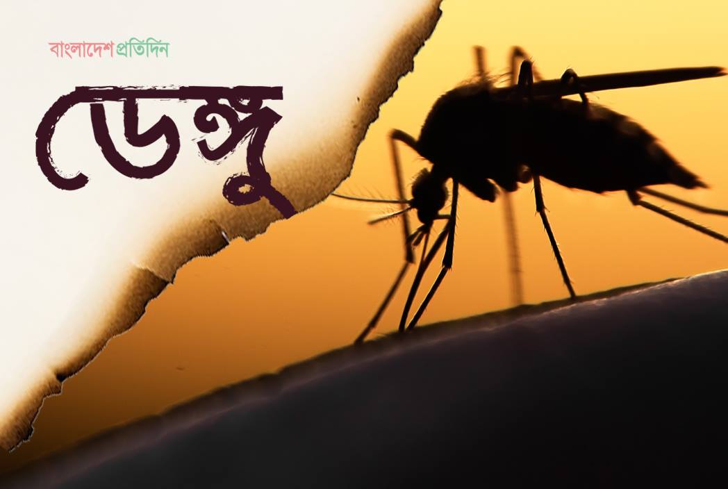 দিনরাত কামড়াচ্ছে মশা, সিলেটে ডেঙ্গু পরিস্থিতি আরও অবনতির আশঙ্কা