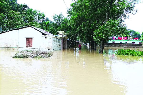 বন্যায় শিশুসহ ১০ মৃত্যু