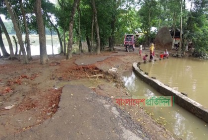 ফুলগাজী-পরশুরামে পানি নেমে গেছে, ক্ষতিগ্রস্ত ফসল-ঘরবাড়ি