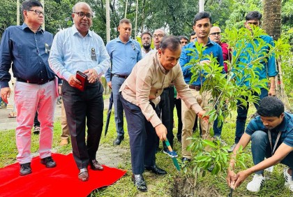 বরিশালে চলতি মৌসুমে ৪ হাজার চারা রোপনের উদ্যোগ