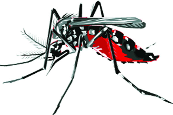 ৮০ হাজার ছাড়াল ডেঙ্গু আক্রান্ত