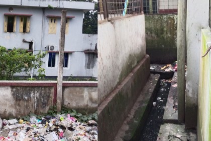 ফুলপুর হাসপাতালের মাঠ ও ড্রেনগুলো যেন মশা উৎপাদনের কারখানা