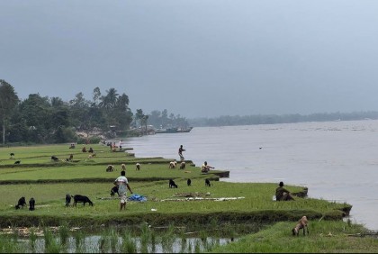 যমুনা নদীর পানি বাড়ছে