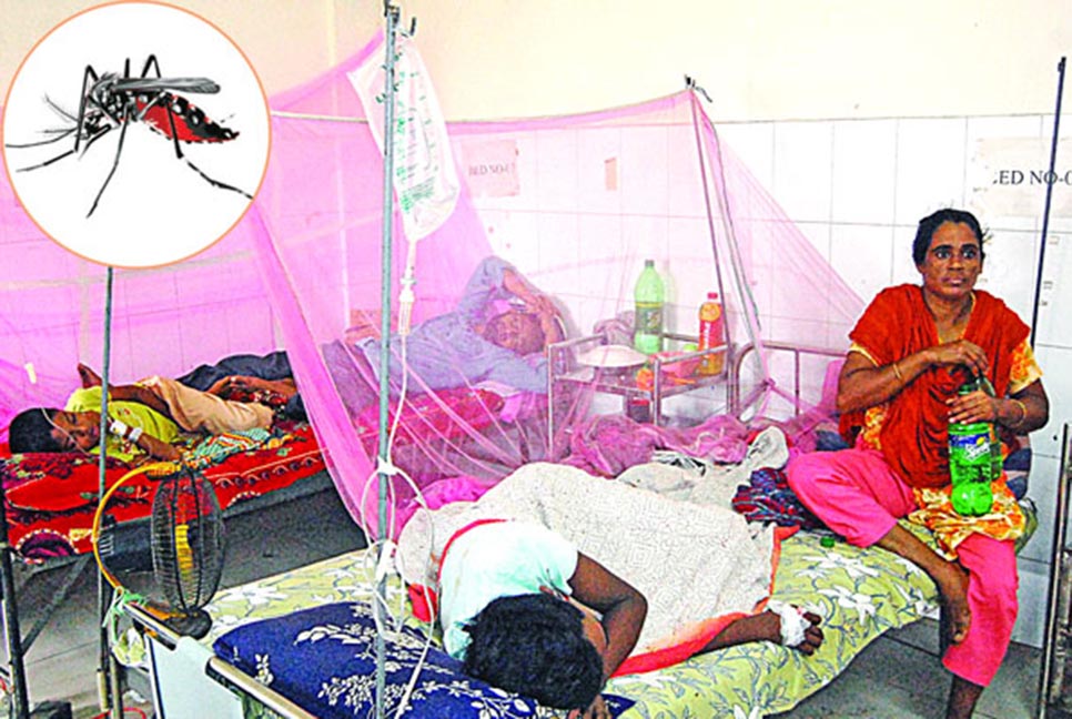 ডেঙ্গুতে মৃত্যু ৪০০ ছুঁই ছুঁই

