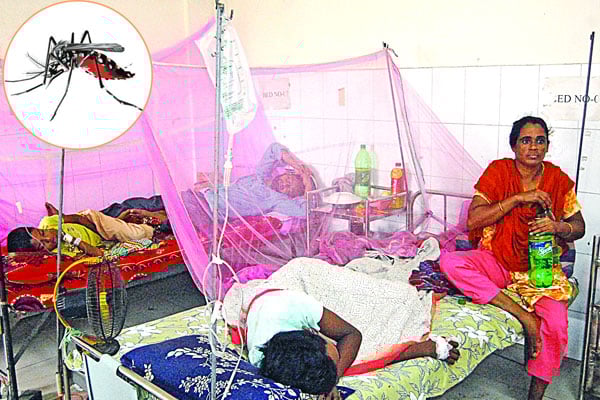 আক্রান্তে পুরুষ, মৃত্যু বেশি নারীর