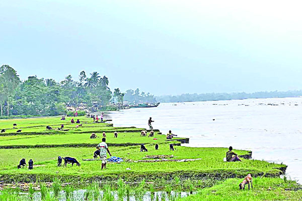 পানি বাড়ছে তিন জেলায়