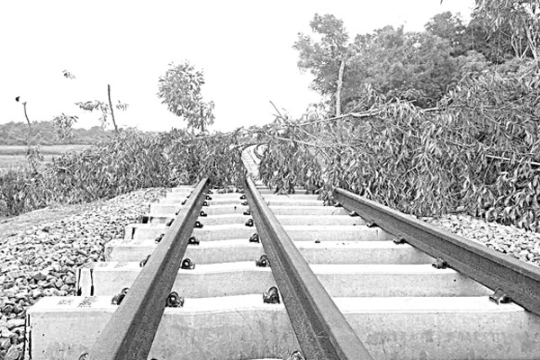 জমির মূল্য না পেয়ে রেলপথে গাছ দিয়ে ব্যারিকেড