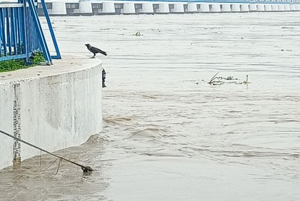 নীলফামারীতে তিস্তা নদীর পানি বৃদ্ধি