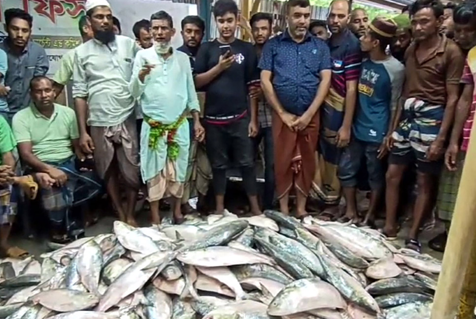 এক জেলের জালে ধরা পড়লো ৯৬ মণ ইলিশ
