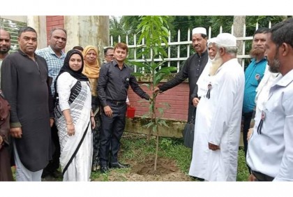 জাতীয় শোক দিবসে তারাকান্দায় বৃক্ষরোপণ 