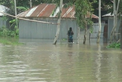 কুড়িগ্রামে নদীর পানি বৃদ্ধি