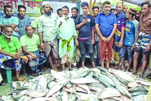 এক জালে ৩৯ লাখ টাকার ইলিশ