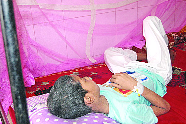 ডেঙ্গুর স্থায়ী সমাধান কী?