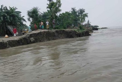 সিরাজগঞ্জে যমুনায় পানির সঙ্গে বাড়ছে ভাঙন