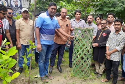 জাতীয় শোক দিবস উপলক্ষে নোয়াখালীতে বৃক্ষরোপণ কর্মসূচি