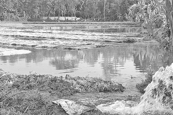 পানি সংকটে পাট জাগ নিয়ে শঙ্কা