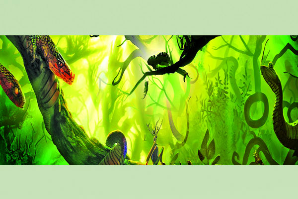 ভয়ংকর অ্যামাজন