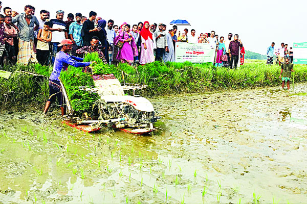 সমলয় পদ্ধতিতে ধান চাষ, কমবে খরচ বাড়বে আয়