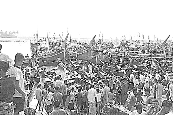 ঝাঁকে ঝাঁকে ইলিশ ধরা পড়ছে সাগরে