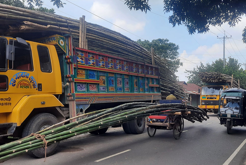 সখীপুরে সড়কে ট্রাকভর্তি বাঁশ নিয়ে আতঙ্ক