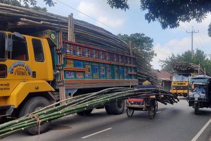 সখীপুরে সড়কে ট্রাকভর্তি বাঁশ নিয়ে আতঙ্ক