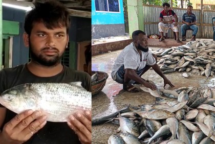 জালে ধরা পড়ছে রূপালি ইলিশ, জেলেদের মুখে প্রশান্তির হাসি