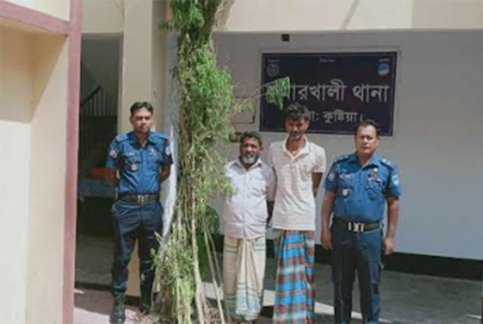 কুমারখালী গাঁজার মামলায় ২ জন কারাগারে