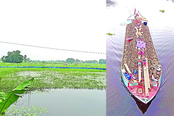 দখলদারদের কবলে আড়িয়াল বিল