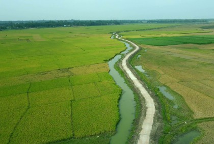 গ্রামীণ সড়কে বদলে যাচ্ছে পাবনার কৃষি অর্থনীতি