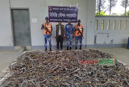 পাথরঘাটায় ৫ কোটি টাকা মূল্যের হাঙ্গরের শুঁটকি জব্দ