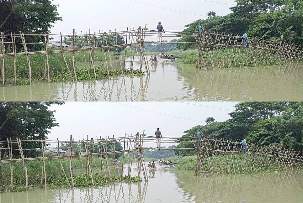 বাঁশের সাঁকোই ভরসা পাঁচ গ্রামের মানুষের