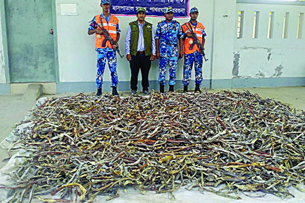 ৫ কোটি টাকার হাঙর জব্দ
