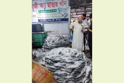 চাঁদপুরে ইলিশের আমদানি বাড়লেও দাম নাগালের বাইরে