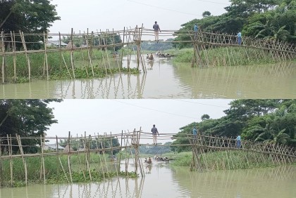 বাঁশের সাঁকোই ভরসা পাঁচ গ্রামের মানুষের