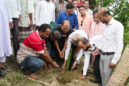নওগাঁয় তালগাছ রোপণ 