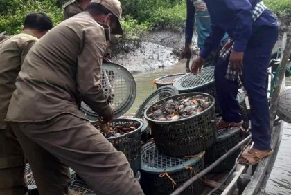 সুন্দরবন থেকে ২৬ জেলে আটক, ১৫ মণ কাঁকড়া জব্দ