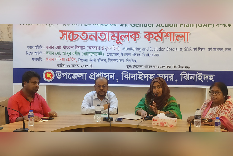 ঝিনাইদহে সেইপ ও গ্যাপ প্রকল্পের অবহিতকরণ কর্মশালা