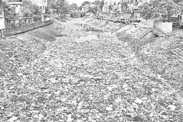 ব্রাহ্মণবাড়িয়ার টাউন খাল বর্জ্যরে ভাগাড়