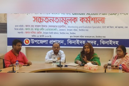 ঝিনাইদহে সেইপ ও গ্যাপ প্রকল্পের অবহিতকরণ কর্মশালা