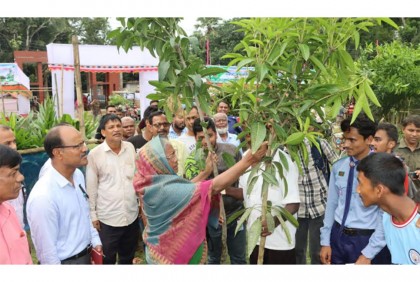 গাইবান্ধায় বৃক্ষরোপণ অভিযান ও বৃক্ষমেলা শুরু